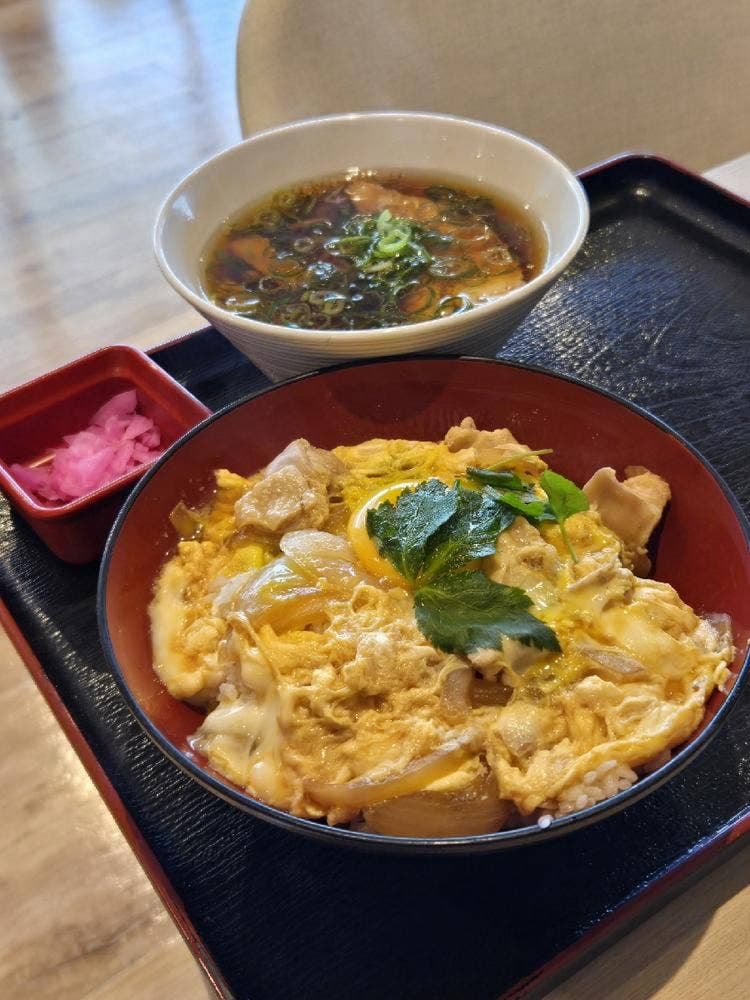 からあげ、定食、丼が ブリチキン。イオンモール豊川店
