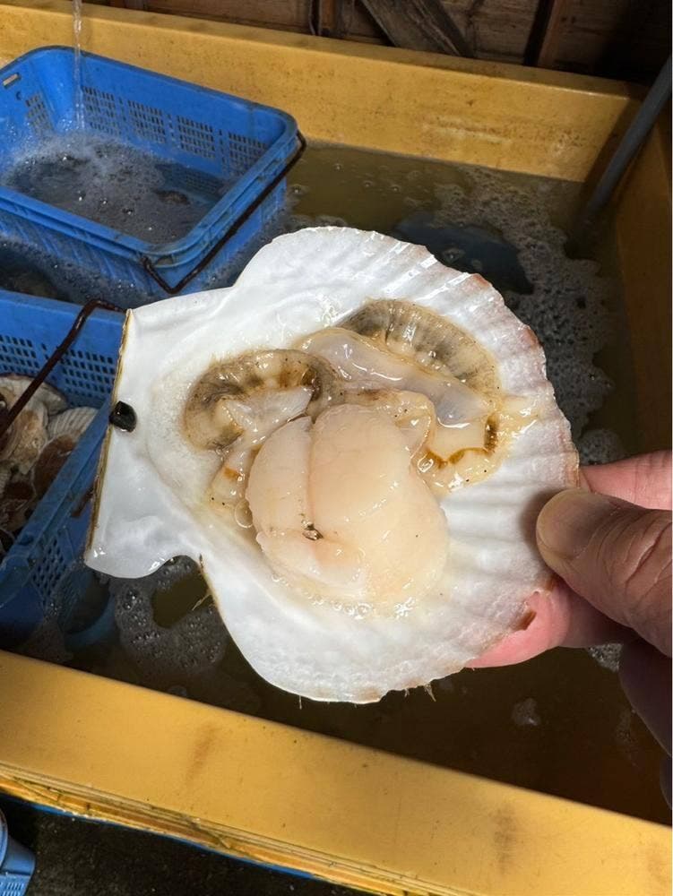 カネタイチ 山田漁業