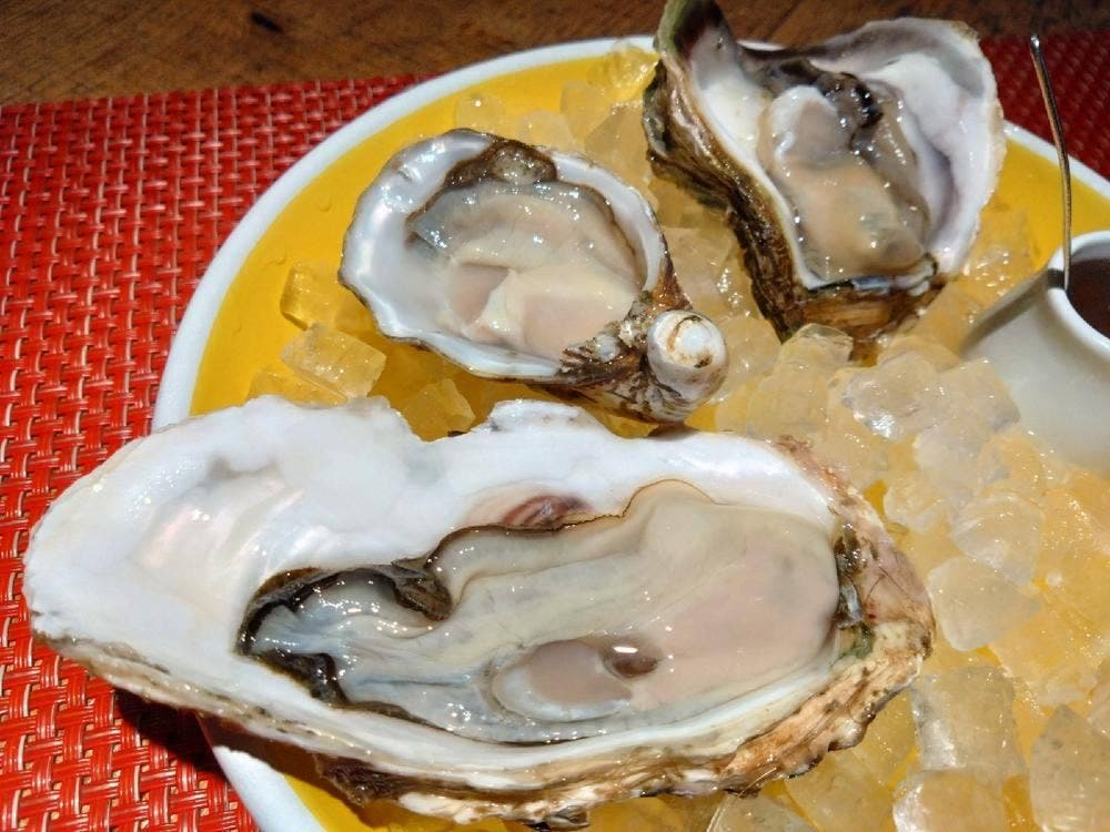 牡蠣と和食 イッコク