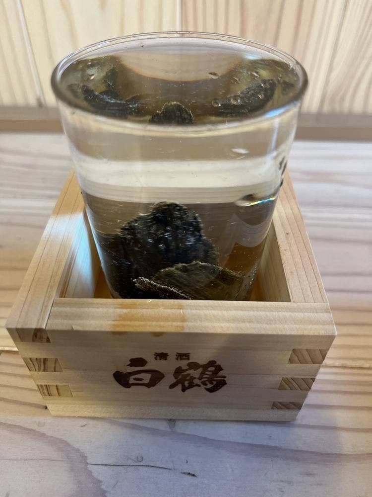 筑豊や