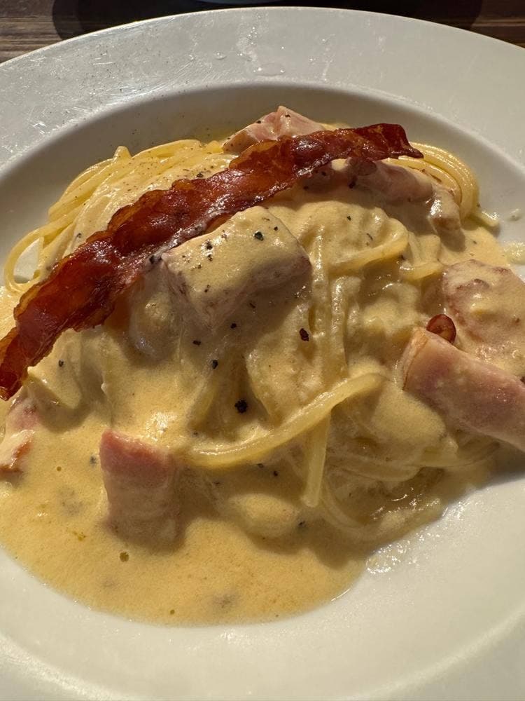 Shiny Owl 表参道 D-Square 店