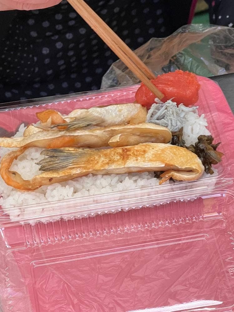 しらすドンドン