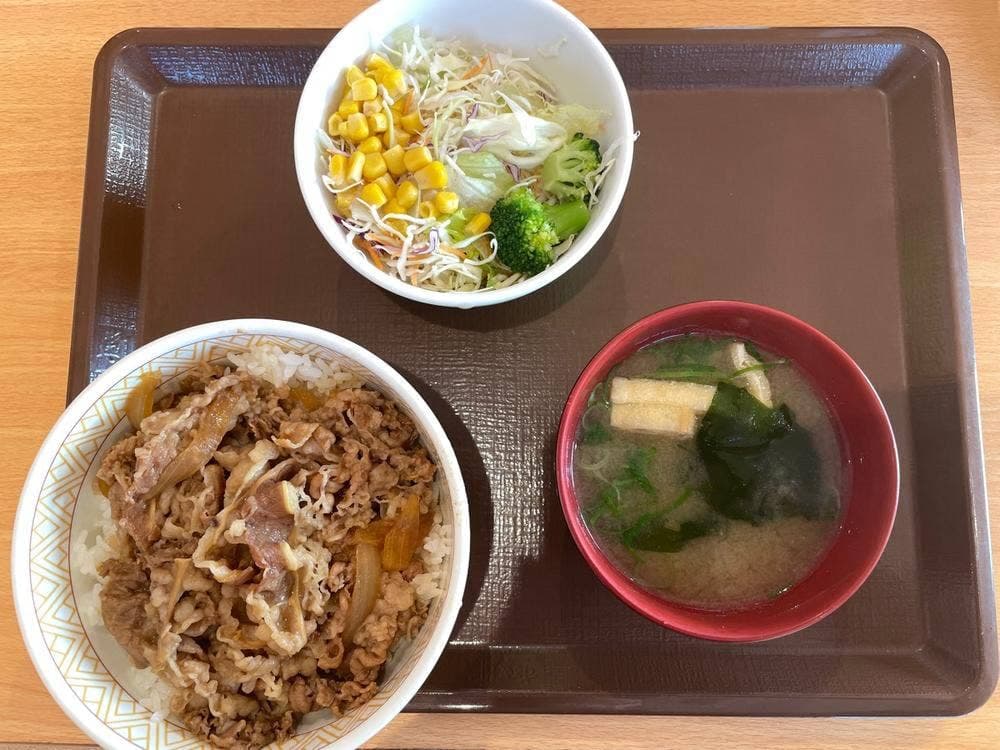 すき家 387号合志店
