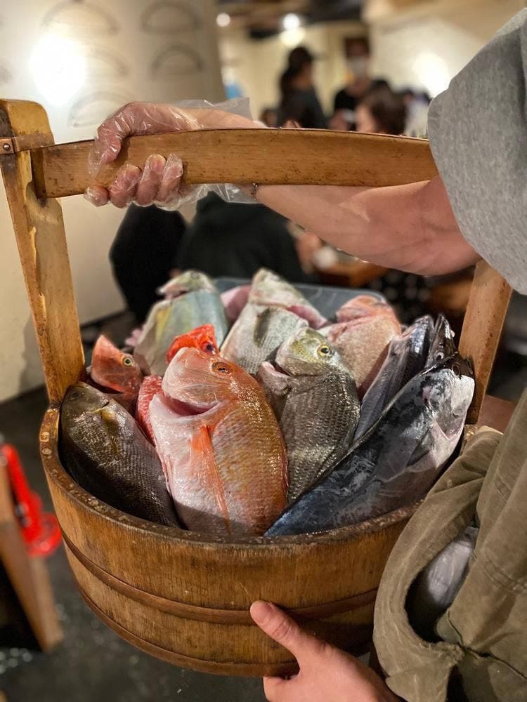 なきざかな 新宿店