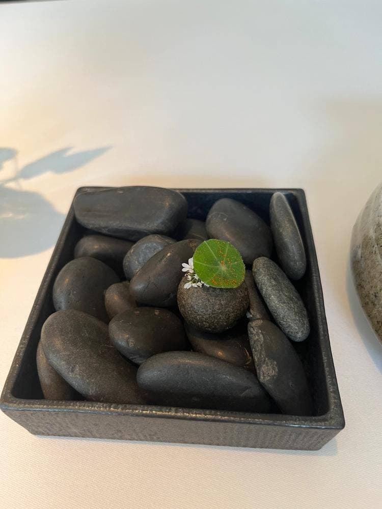 オトワ レストラン