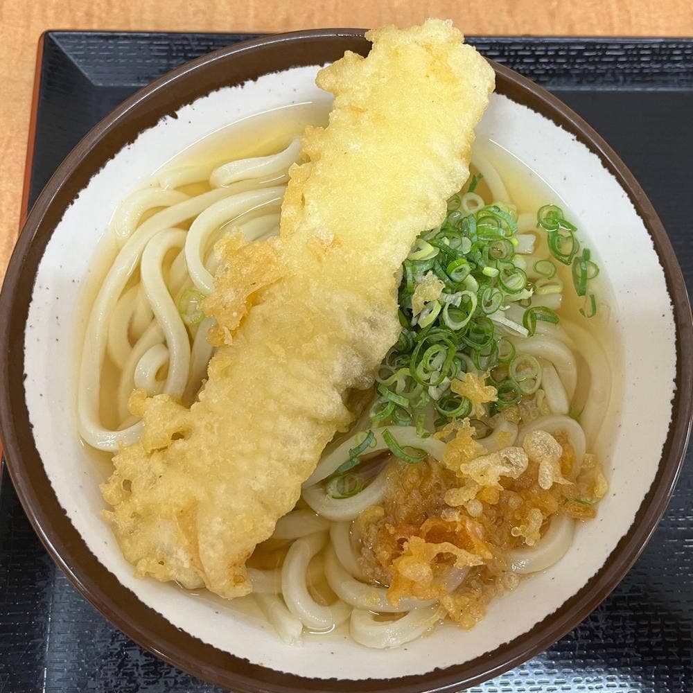 さか枝うどん 南新町店