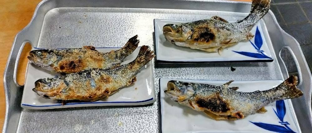 日の出町自然休養村 さかな園 食堂