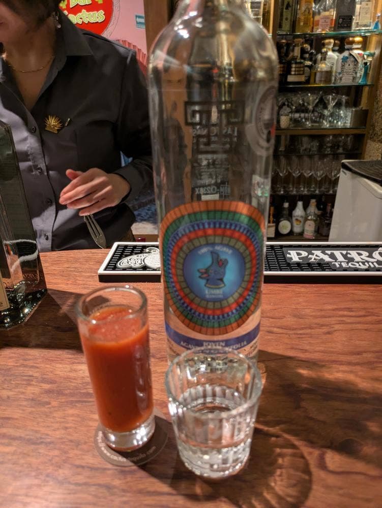 Bar Cactus