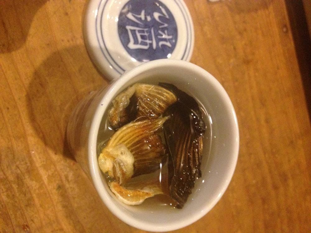 椨の木