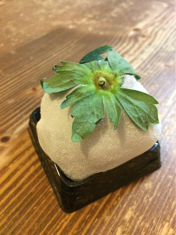 餅の柏屋