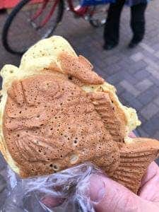 たこやきこんこん