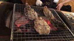 七輪居酒屋 磯でチキン 美野島店