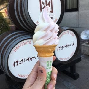 はこだてわいん 葡萄館