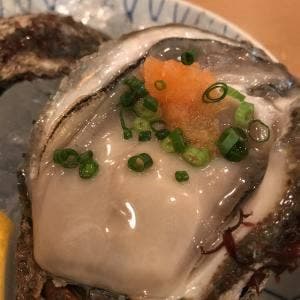 どじょっこ