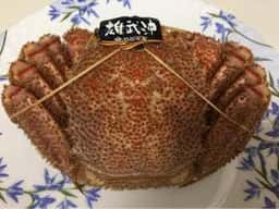 橋本商店
