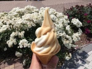 赤い屋根の売店