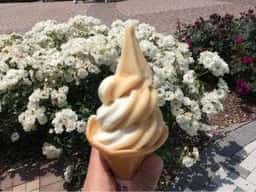 赤い屋根の売店