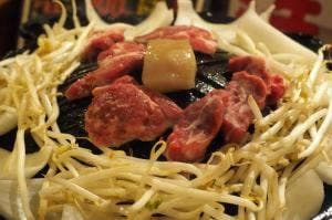 琴似ジンギスカン ひつじっこ