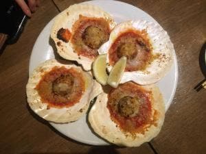 炭火焼イタリアン&ワイン オイノス野毛