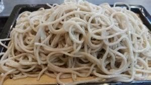 愛知家