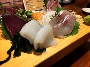 湘南の魚 じんべえ