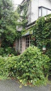 米沢牛ステーキハウスun 米沢牛ステーキハウスunドッグカフェ