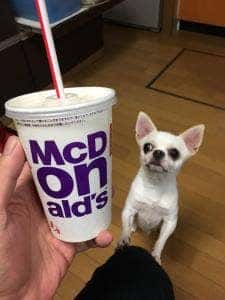 マクドナルド 2号線尼崎店