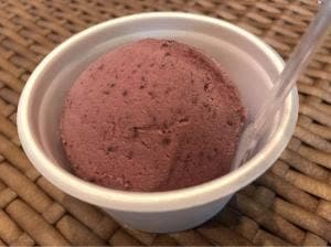 ブルーベリー農園 森の畑 シャン・ドゥ・ボア