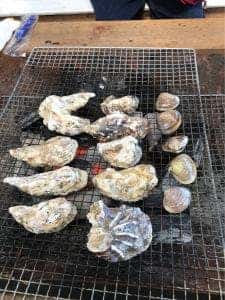 唐泊恵比須かき カキ小屋