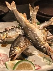 静柳