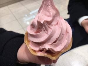 TOKIO 岩田屋本店