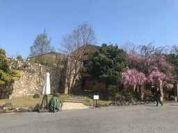 仏蘭西料理 ラ・テラス