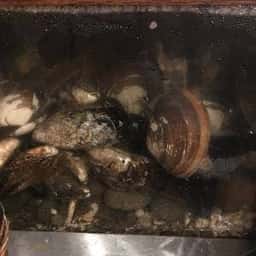 おふくろ貝介