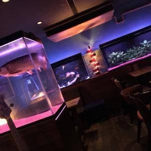 Bar fish