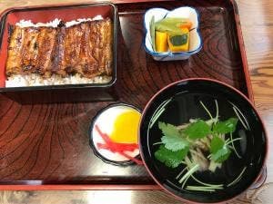 うなぎ 魚義