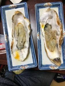 食事処 くぼ田