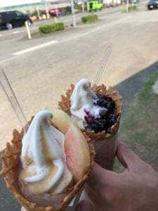 くだものソフト専門店 KICHIJIEN cafe