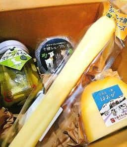 十勝千年の森