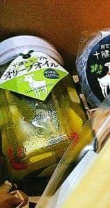 十勝千年の森
