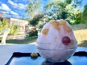 キャンデイード2