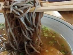 藤よしうどん・そば店