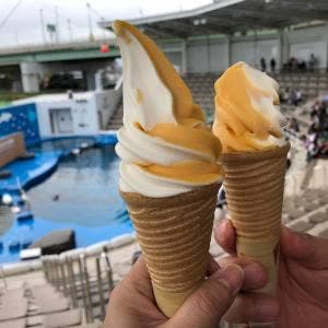仙台うみの杜水族館 フードコート
