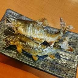 やな川