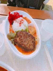 WILD CATS 神戸どうぶつ王国