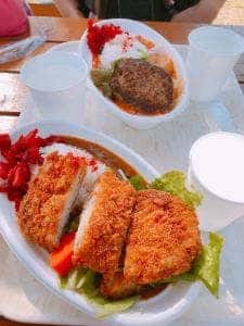 WILD CATS 神戸どうぶつ王国