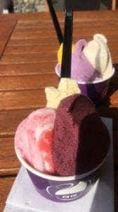 ニッコウジェラート だいやの森旬菜館