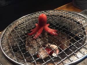 七輪家ホルモン大将