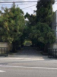 招福楼 本店