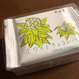 新潟 加島屋 本店