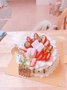 お嫁ちゃんのシフォンケーキ